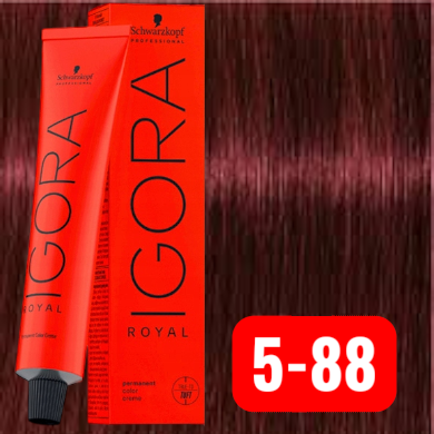 Igora Royal Rojos & Cobrizos