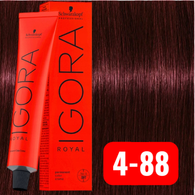 Igora Royal Rojos & Cobrizos