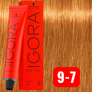 Igora Royal Rojos & Cobrizos