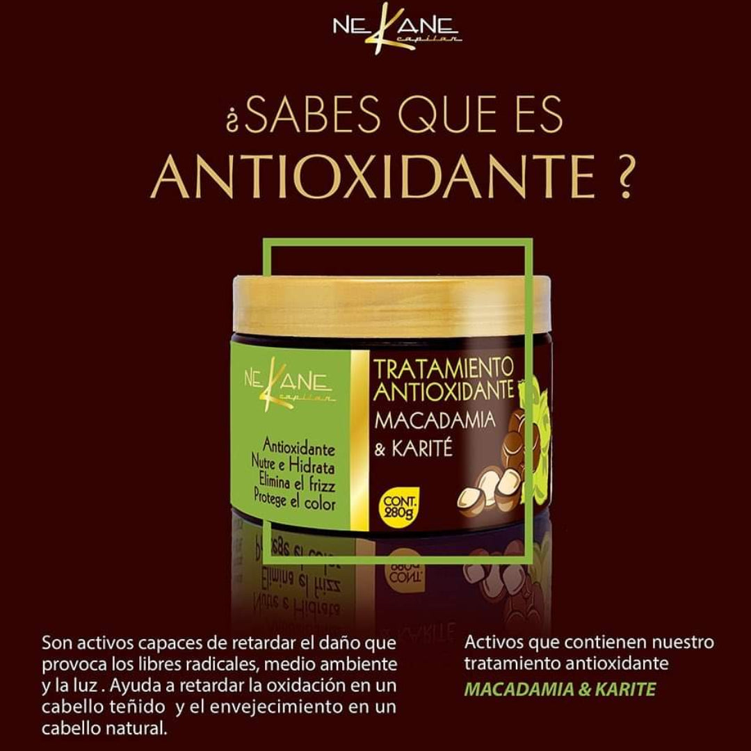 Nekane Tratamiento Antioxidante Macadamia 280gr