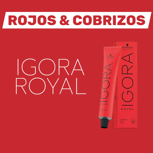 Igora Royal Rojos & Cobrizos